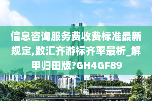 信息咨询服务费收费标准最新规定,数汇齐游标齐率最析_解甲归田版?GH4GF89