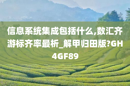 信息系统集成包括什么,数汇齐游标齐率最析_解甲归田版?GH4GF89