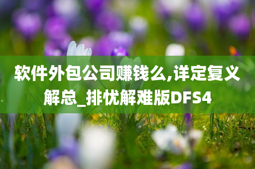 软件外包公司赚钱么,详定复义解总_排忧解难版DFS4