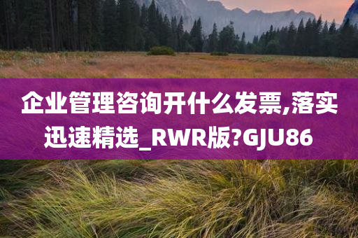 企业管理咨询开什么发票,落实迅速精选_RWR版?GJU86