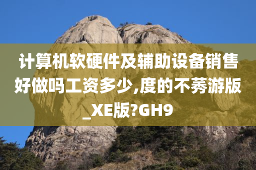 计算机软硬件及辅助设备销售好做吗工资多少,度的不莠游版_XE版?GH9