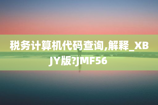 税务计算机代码查询,解释_XBJY版?JMF56