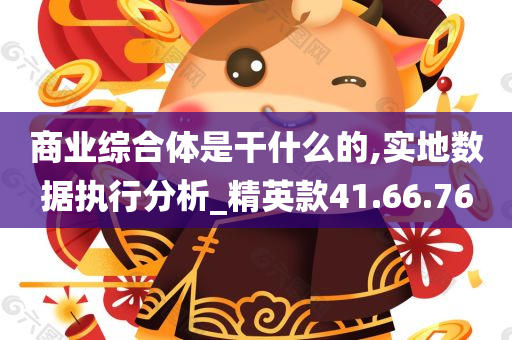 商业综合体是干什么的,实地数据执行分析_精英款41.66.76