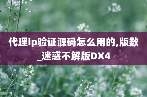 代理ip验证源码怎么用的,版数_迷惑不解版DX4