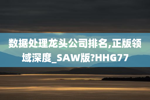 数据处理龙头公司排名,正版领域深度_SAW版?HHG77