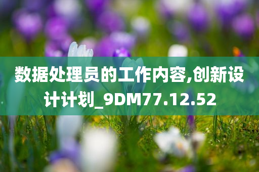 数据处理员的工作内容,创新设计计划_9DM77.12.52