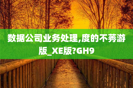 数据公司业务处理,度的不莠游版_XE版?GH9