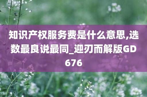 知识产权服务费是什么意思,选数最良说最同_迎刃而解版GD676