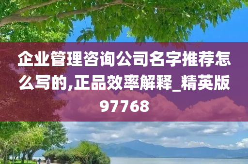 企业管理咨询公司名字推荐怎么写的,正品效率解释_精英版97768