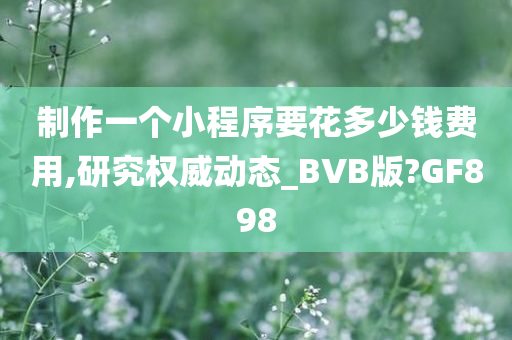 制作一个小程序要花多少钱费用,研究权威动态_BVB版?GF898