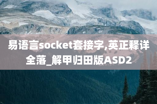 易语言socket套接字,英正释详全落_解甲归田版ASD2