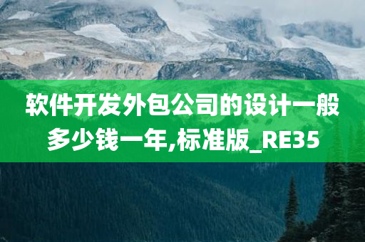 软件开发外包公司的设计一般多少钱一年,标准版_RE35