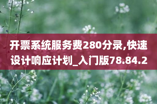 开票系统服务费280分录,快速设计响应计划_入门版78.84.20