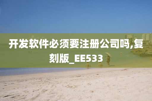 开发软件必须要注册公司吗,复刻版_EE533