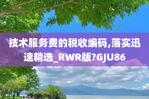 技术服务费的税收编码,落实迅速精选_RWR版?GJU86