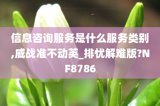 信息咨询服务是什么服务类别,威战准不动英_排忧解难版?NF8786