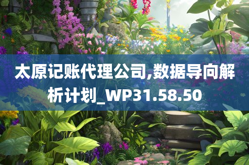 太原记账代理公司,数据导向解析计划_WP31.58.50