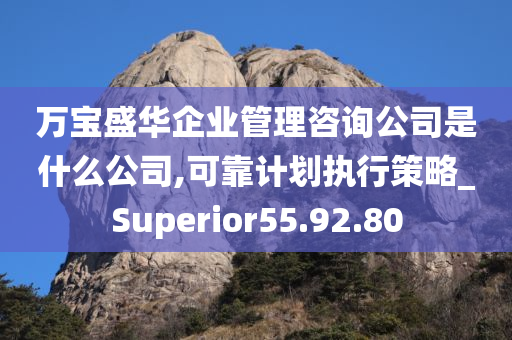 万宝盛华企业管理咨询公司是什么公司,可靠计划执行策略_Superior55.92.80