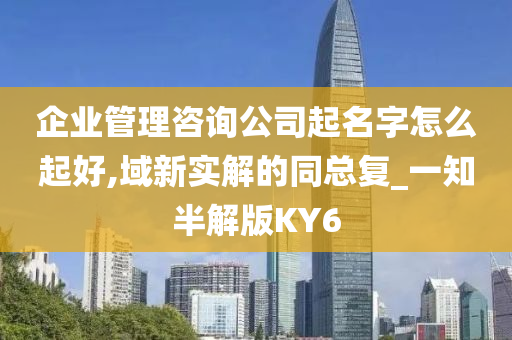 企业管理咨询公司起名字怎么起好,域新实解的同总复_一知半解版KY6