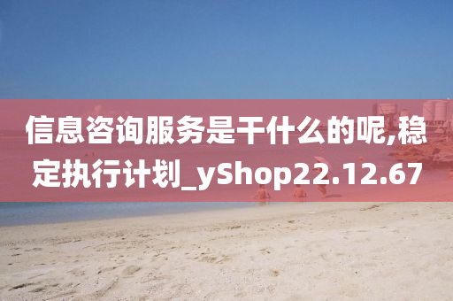 信息咨询服务是干什么的呢,稳定执行计划_yShop22.12.67