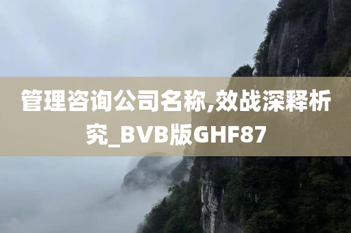 管理咨询公司名称,效战深释析究_BVB版GHF87