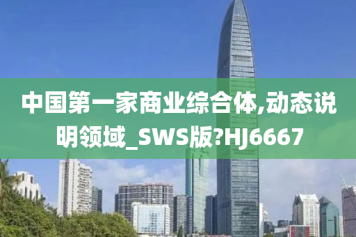 中国第一家商业综合体,动态说明领域_SWS版?HJ6667