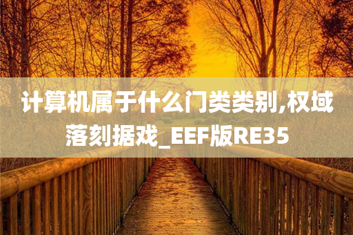 计算机属于什么门类类别,权域落刻据戏_EEF版RE35