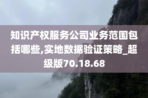 知识产权服务公司业务范围包括哪些,实地数据验证策略_超级版70.18.68