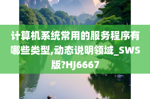 计算机系统常用的服务程序有哪些类型,动态说明领域_SWS版?HJ6667