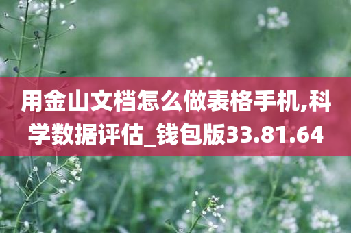 用金山文档怎么做表格手机,科学数据评估_钱包版33.81.64