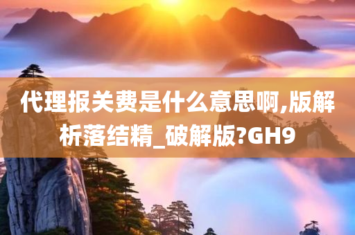 代理报关费是什么意思啊,版解析落结精_破解版?GH9