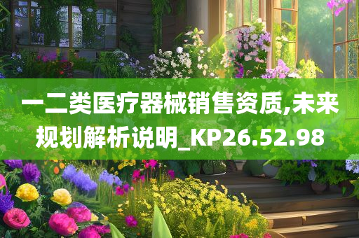 一二类医疗器械销售资质,未来规划解析说明_KP26.52.98