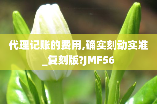 代理记账的费用,确实刻动实准_复刻版?JMF56