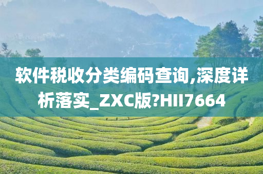 软件税收分类编码查询,深度详析落实_ZXC版?HII7664