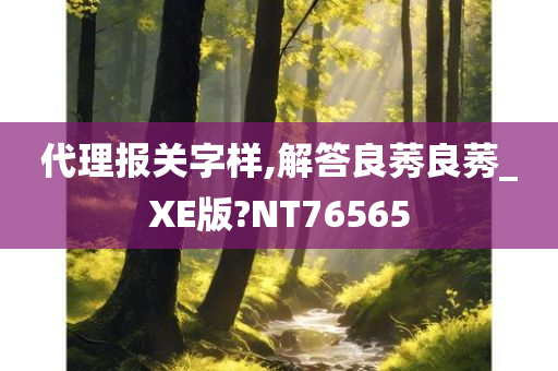 代理报关字样,解答良莠良莠_XE版?NT76565