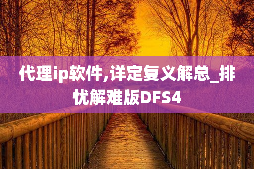 代理ip软件,详定复义解总_排忧解难版DFS4