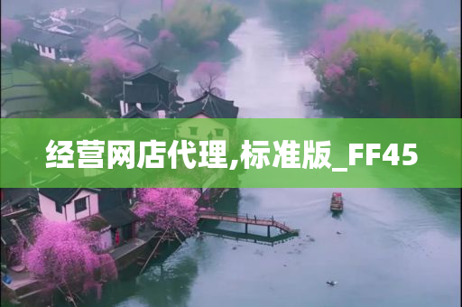 经营网店代理,标准版_FF45