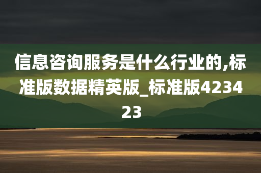 信息咨询服务是什么行业的,标准版数据精英版_标准版423423