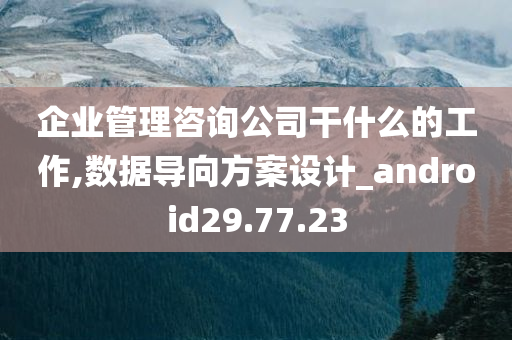 企业管理咨询公司干什么的工作,数据导向方案设计_android29.77.23