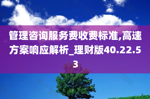 管理咨询服务费收费标准,高速方案响应解析_理财版40.22.53