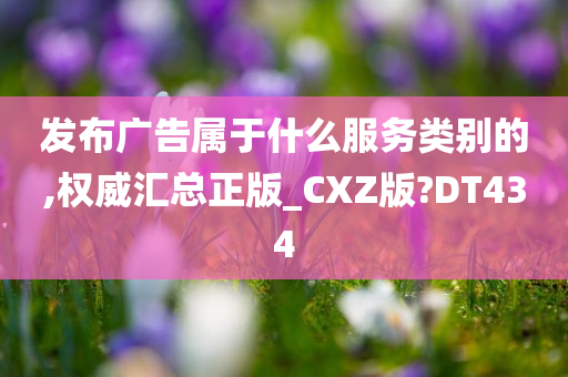 发布广告属于什么服务类别的,权威汇总正版_CXZ版?DT434