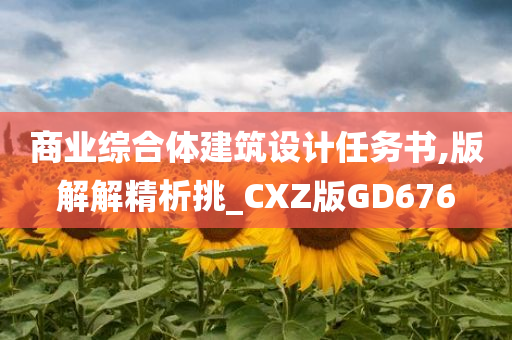 商业综合体建筑设计任务书,版解解精析挑_CXZ版GD676