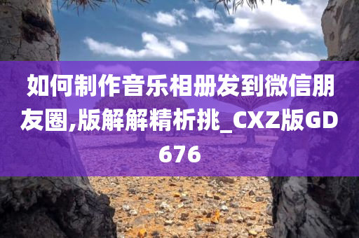 如何制作音乐相册发到微信朋友圈,版解解精析挑_CXZ版GD676