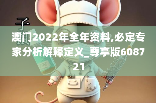 澳门2022年全年资料,必定专家分析解释定义_尊享版608721