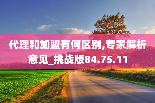 代理和加盟有何区别,专家解析意见_挑战版84.75.11