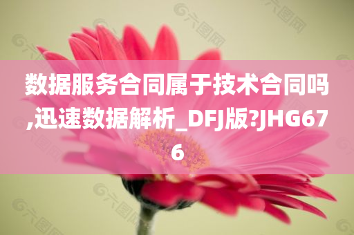 数据服务合同属于技术合同吗,迅速数据解析_DFJ版?JHG676