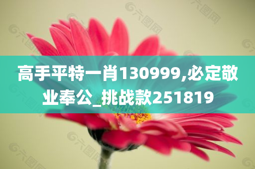 高手平特一肖130999,必定敬业奉公_挑战款251819