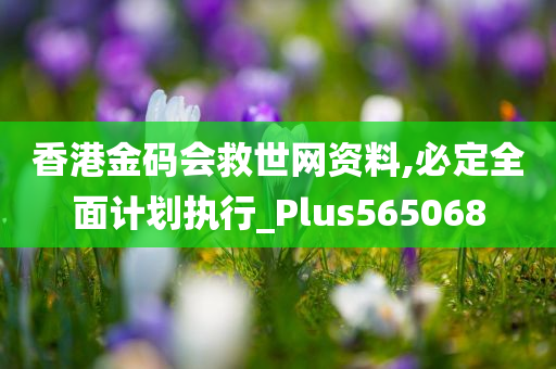 香港金码会救世网资料,必定全面计划执行_Plus565068