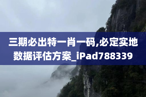 三期必出特一肖一码,必定实地数据评估方案_iPad788339