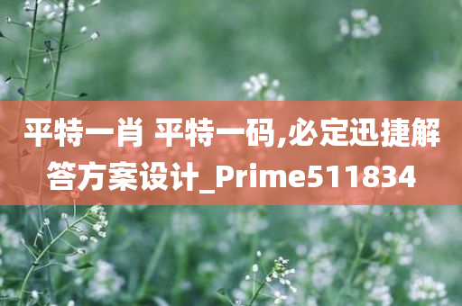 平特一肖 平特一码,必定迅捷解答方案设计_Prime511834